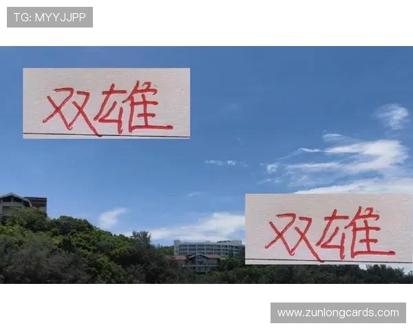 尊龙旗舰厅登录线路稳定性提升策略，确保全天候无间断的顺畅体验