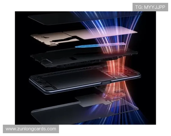 尊龙z6电子游戏平台的最新安全技术应用，保障玩家资金与信息安全